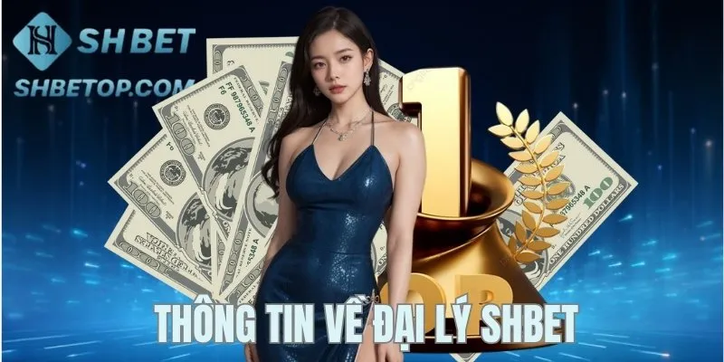 Đôi nét về đại lý Shbet