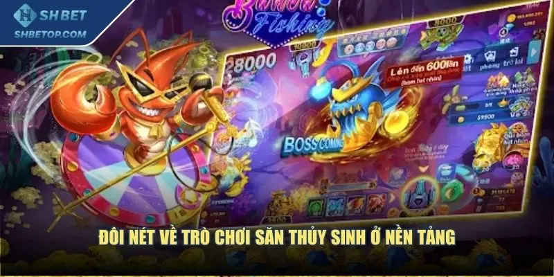 Đôi nét về trò chơi săn thủy sinh ở nền tảng